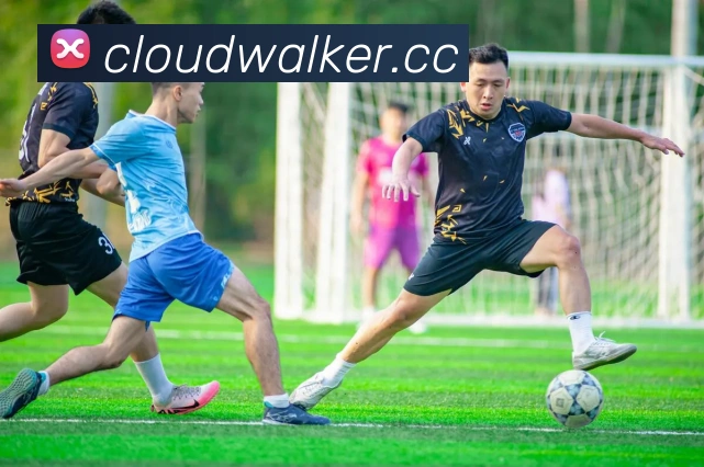 九游网页版入口官网平台生态图